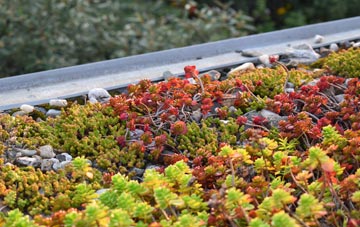 the cost of Skelbrooke green roof installation