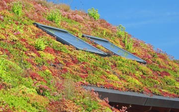 Skelbrooke living roof systems